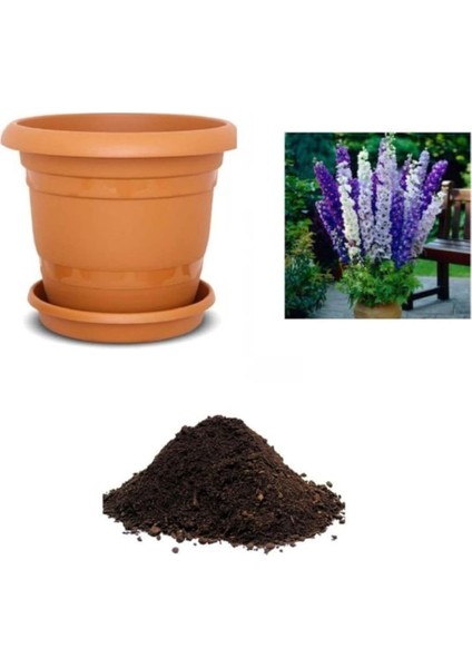 Look Ithal Hezaren Çiçeği Tohumu Ekim Seti TH-DSHNLLKSET010