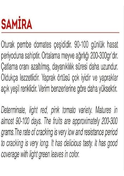 Tarım Ata Tohumu Yerli Pembe Köy Domatesi 1000 Adet Tohum fiyatları