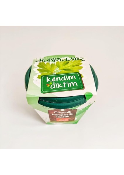 Bahçeci - Kendim Diktim Mini Saksıda Fidelik Dikim Seti - Maydanoz