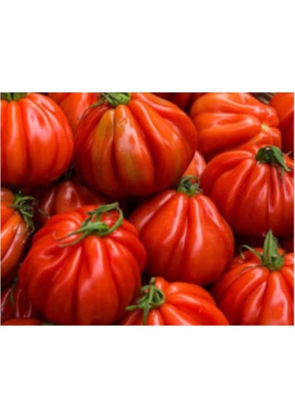 Ithal Antik Domates Tohumu 10 Adet Tohum fiyatları
