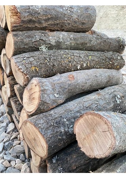 Odunu, Şömine Odunu 15KG modelleri