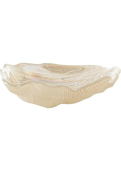 Concept Oyster Dekoratif Tabak Krem 16 cm fiyatları