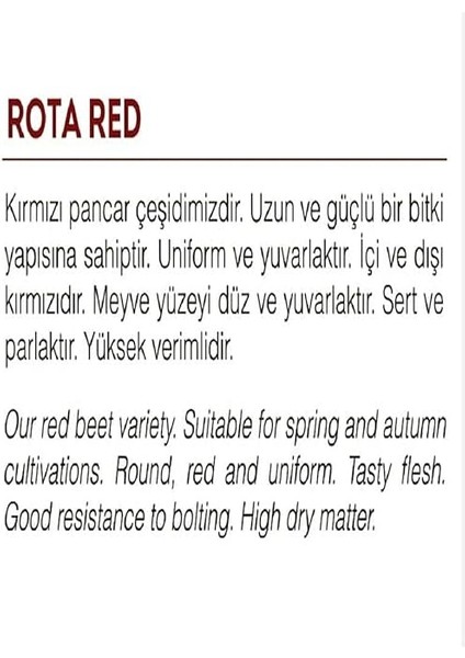 Tarım Yerli Doğal Kırmızı Pancar Tohumu 100 Adet Tohum fiyatları