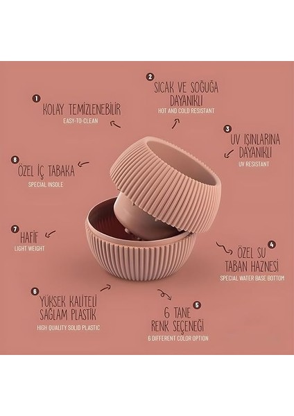 5 Parça Mercan Kaktüs Saksı Seti Plastik Sukulent Saksısı Set (Antrasit) modelleri