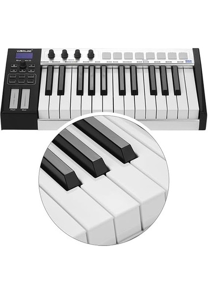 Blue Whale 25 Tuş Midi Klavye