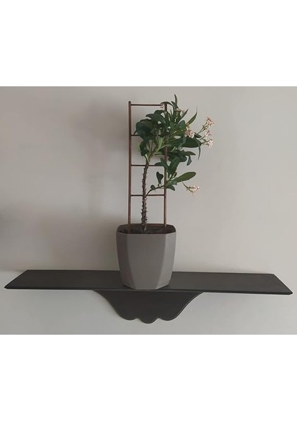 Cosy Saksı ve Bahçe Bitkileri Ahşap Destek Merdiveni (12,5 x 60 Cm) modelleri