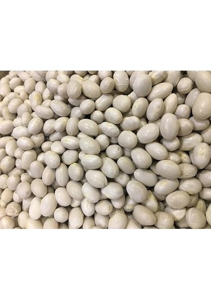 Doğal Ispir Fasulye Tohumu 50 Adet Tohum modelleri