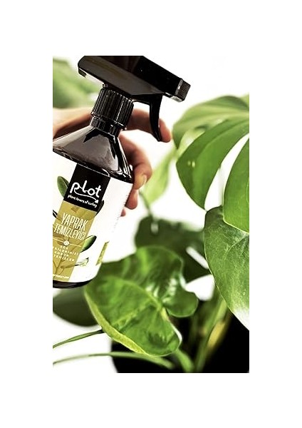 Bakım Seti: Yeşil Yapraklı Bitkiler Için Sıvı Besin + Yaprak Temizleyici & Koruyucu fiyatları