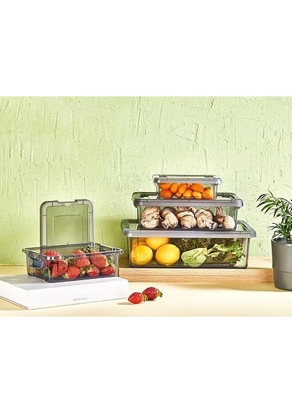 4'lü Kilitli Plastik Saklama Kabı Seti, Iç Içe Kilitli Plastik Erzak Saklama Kabı | Iç Içe Istiflenebilir, Yer Tasarrufu (Gri) fiyatları