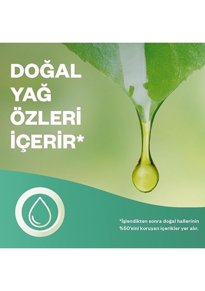 Wick Elektrikli Oda Kokusu Yedek Şişe Vanilya fırsatları