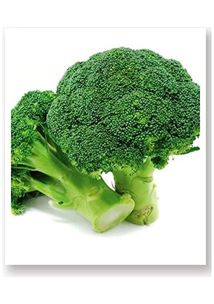 Tarım Doğal Yerli Brokoli Çeşit Rapid 100 Adet Tohum