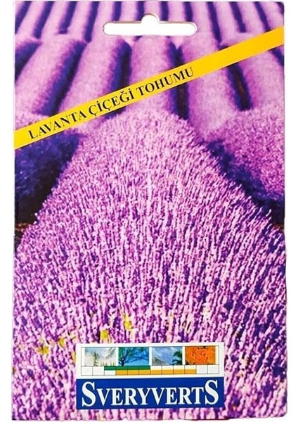 Lavanta Çiçeği Tohumu