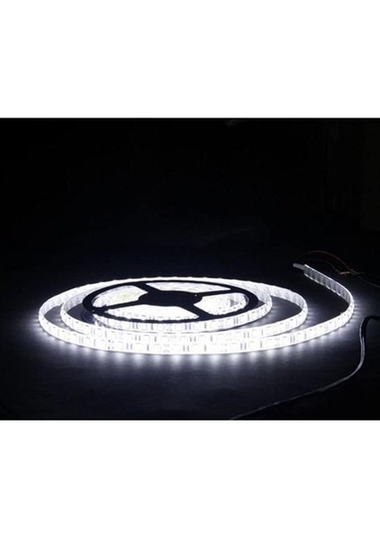 4040 Beyaz Şerit LED Iç Mekan – 5 Metre