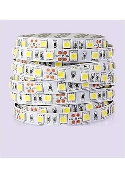 4040 Beyaz Şerit LED Iç Mekan – 5 Metre fiyatları