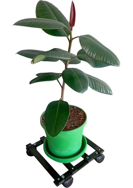 Metal Tasarım Tekerlekli Saksı Altlığı 30 cm Taşınabilir Hareketli Saksılık Damacana Altlığı fiyatları