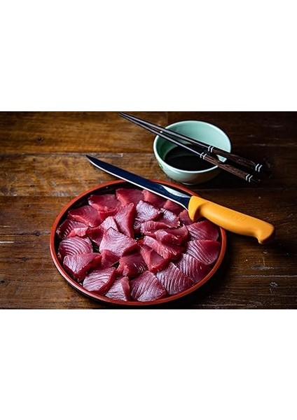 5.8450.20 20CM Swibo Balık Fileto Bıçağı fiyatları