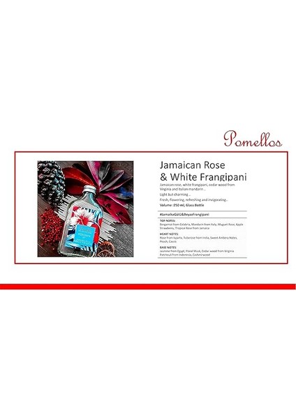 Jamaika Gülü & Beyaz Frangipani Kolonya 250 ml fiyatları