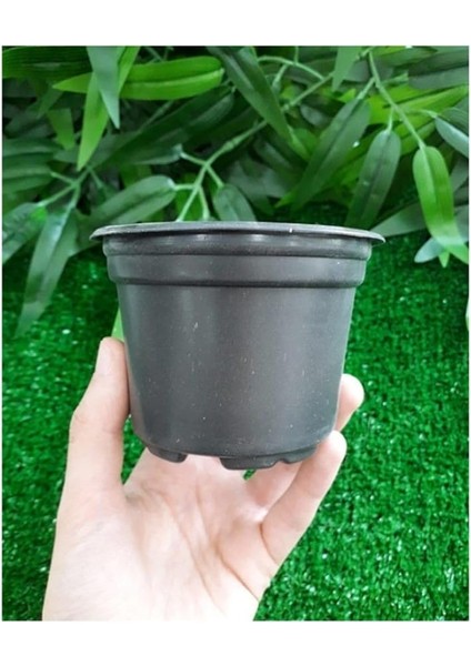 Vakum Saksı 20 Adet 9x7 cm 0,29 Lt Plastik Saksı Ucuz Saksı Fide Üretim Saksısı