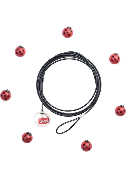 Fotoğraf Tutacağı Uğurböceği