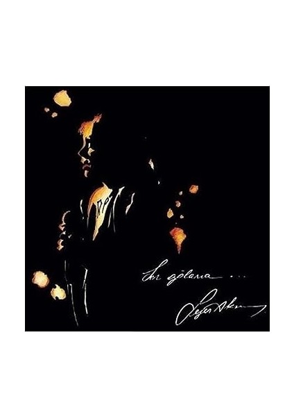 Elektronik Sezen Aksu-Sen Ağlama Lp Plak fiyatları