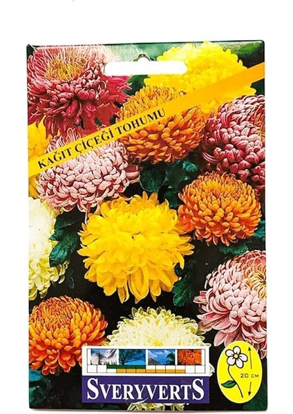Kağıt Çiçeği Tohumu