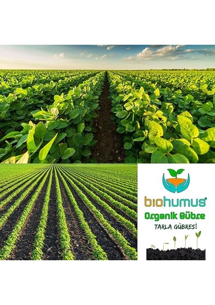 Tarla Için, Organik Gübre, Organik Sertifikalı, Kök Geliştirici, Toprak Düzenleyici, Bitki Besleyici 25 kg (1) fiyatları