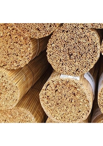 1MX3M Hasır Kamış Çit fırsatları