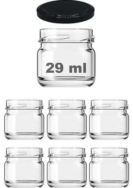 29 ml Farklı Boyutlarda Kavanoz 29 cc Konserve Metal Kapaklı Cam Kavanoz 6 Adet (Şeffaf, 29 Cc)