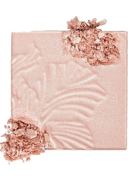 N Wild Megaglo Aydınlatıcı Pudra - E319B Blossom Glow modelleri