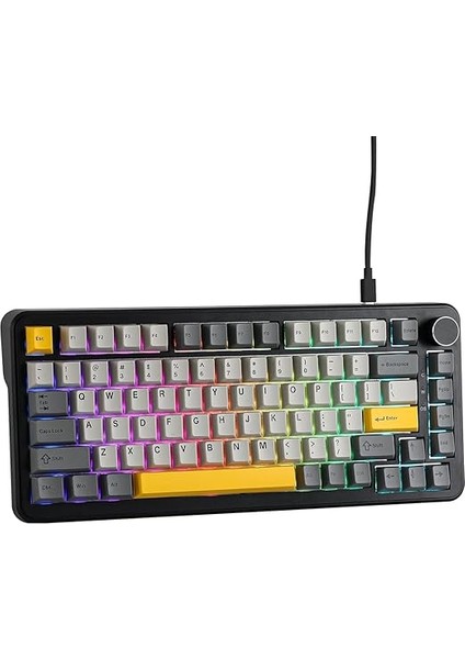 AK820 Max He Hall Effect Manyetik Switch Kablolu Oyun Klavyesi 8000Hz Siyah Beyaz modelleri