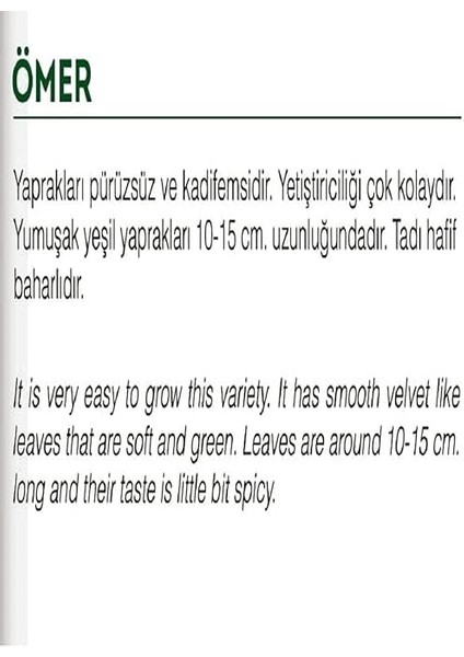 Tarım Ata Tohumu Yerli Enli Tere 1000 Adet Tohum fiyatları