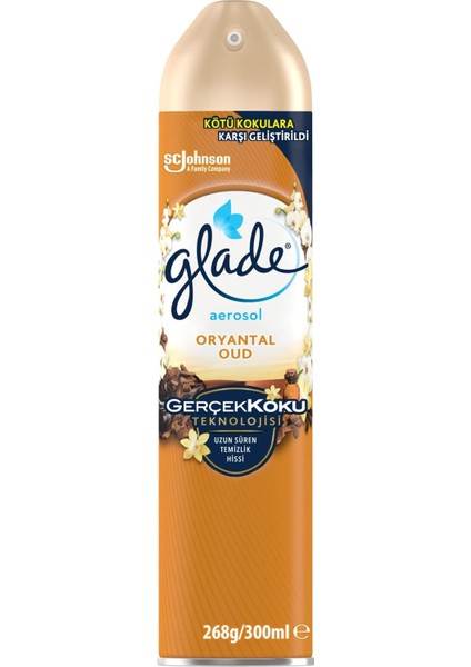 Aerosol Oryantal Oud Oda Kokusu 300 ml (1 x 300 Ml)
