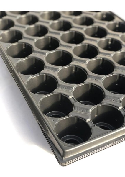 Botanik 5 Adet 45 Gözlü Viyol Fide Yetiştirme Viyolü Fide Viyolleri Tohum Ekim Viyolü Kabı