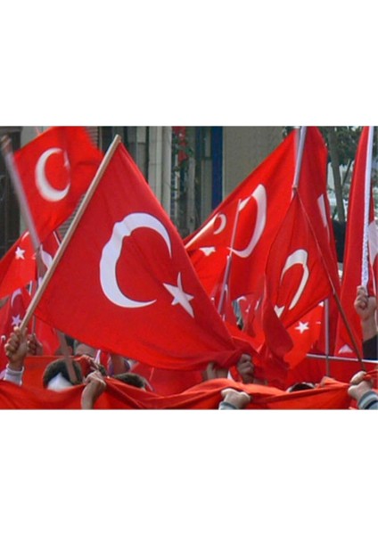 Bayrak Sopalı Türk Bayrağı 100X150 Yüksek Kalite Çift Tarafllı Fabrikasyon Baskı Alpaka Kumaş modelleri