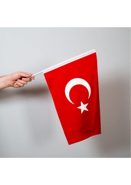 Bayrağı 20X30 cm Alpaka Kumaş Sopalı 20 Adet