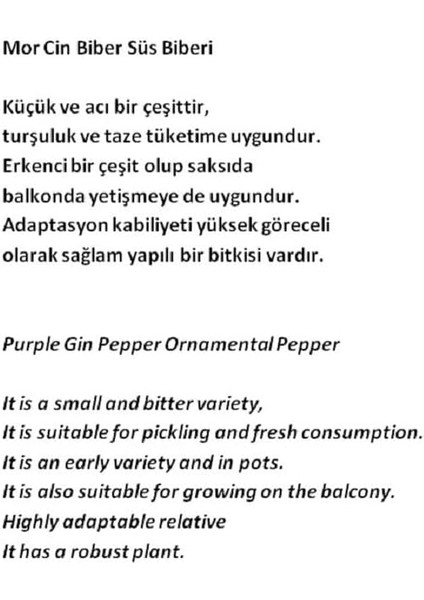 Tarım Yerli Doğal Acı Mor Cin Biberi 100 Adet Tohum fiyatları