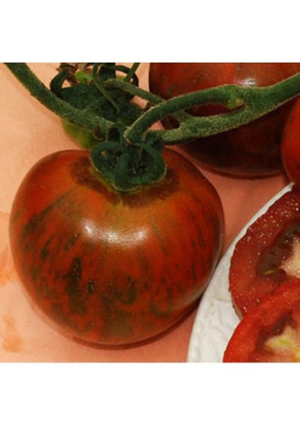 Adet Black Zebra Domates Tohumu