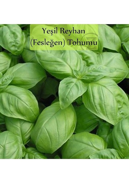 Organik 6'lı NO11 Maydanoz Tohumu Fesleğen Nane Roka Tohumu Yeşillik Tohumu indirimleri