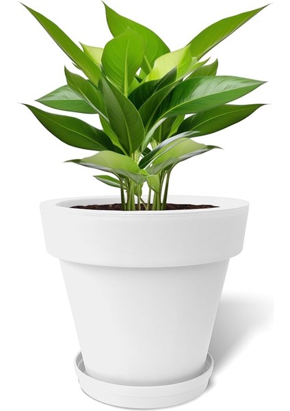 Fulya Saksı Drenajlı Dekoratif Mat Plastik Çiçek Saksısı (Beyaz Tabaklı, 50 Litre)