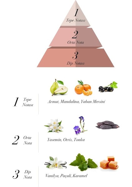 La Vista Edp Kadın Parfüm 120 ml fiyatları