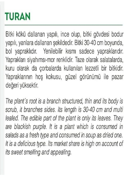 Tarım Ata Tohumu Yerli Mor Reyhan Turan 1000 Adet Tohum fiyatları