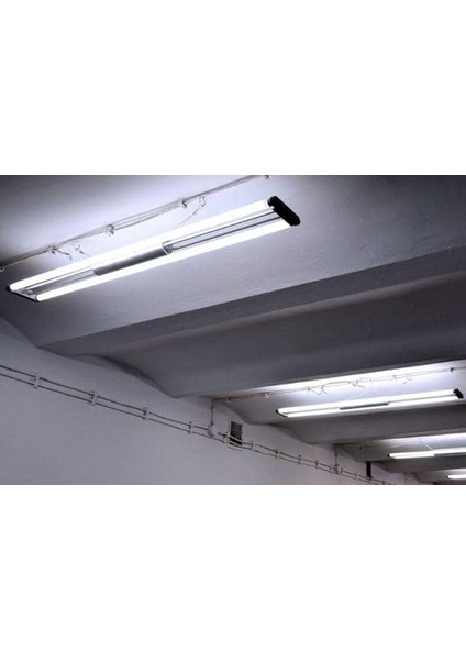 Master Tl-D 18W Snow Whıte Floresan Ampul modelleri