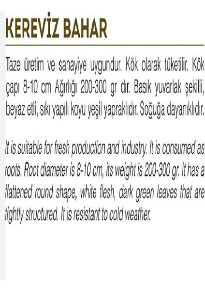 Tarım Ata Tohumu Yerli Kereviz Tohumu 2000 Adet Tohum fiyatları