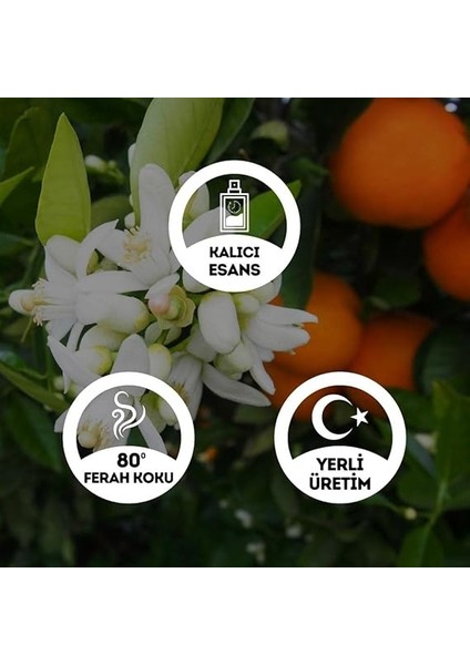 Dönüş Portakal Çiçeği Kolonyası Cam Şişe 200 ml (80 Derece) - (Parfümlü) fiyatları