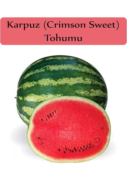 Organik Karpuz Tohumu 1 Paket (10GR=100+ Adet) Crimson Sweet Karpuz Tohumu
