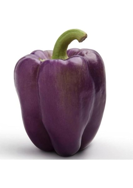 Nadir Mor Dolmalık Biber Tohumu 10 Adet Tohum modelleri