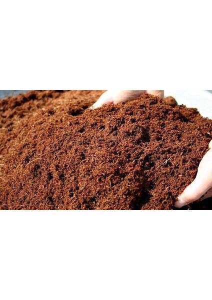 Botanik 10 Lt Cocopeat-Hindistan Cevizi Torfu