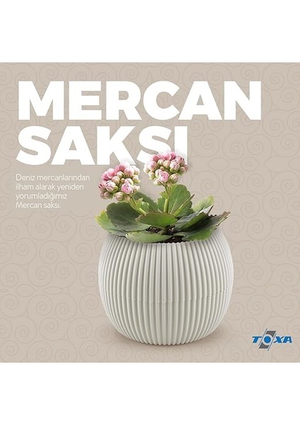 6 Parça Mercan Saksı Seti (Antrasit) fırsatları