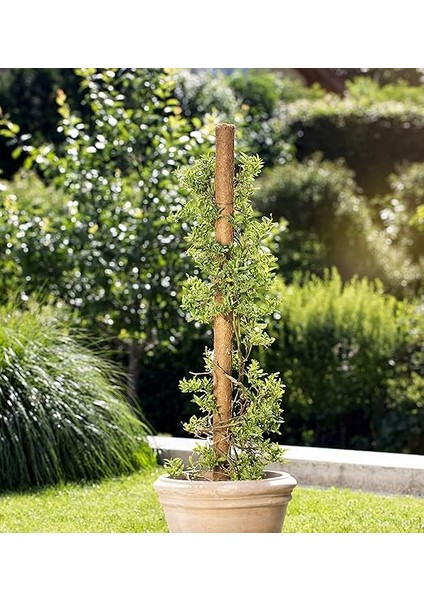 05660 Hindistan Cevizi Bitki Çubuğu, Tırmanma Çubuğu, Çiçek Çubuğu, Hindistan Cevizi Çubuğu, Dekorasyon Için, Doğal Hindistan Cevizi Lifinden, Uzatılabilir, 60 cm fırsatları