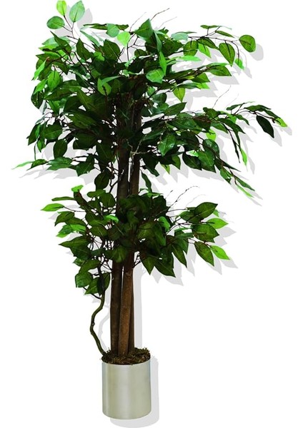 Ağaç Benjamin 100 cm Metal Saksıda